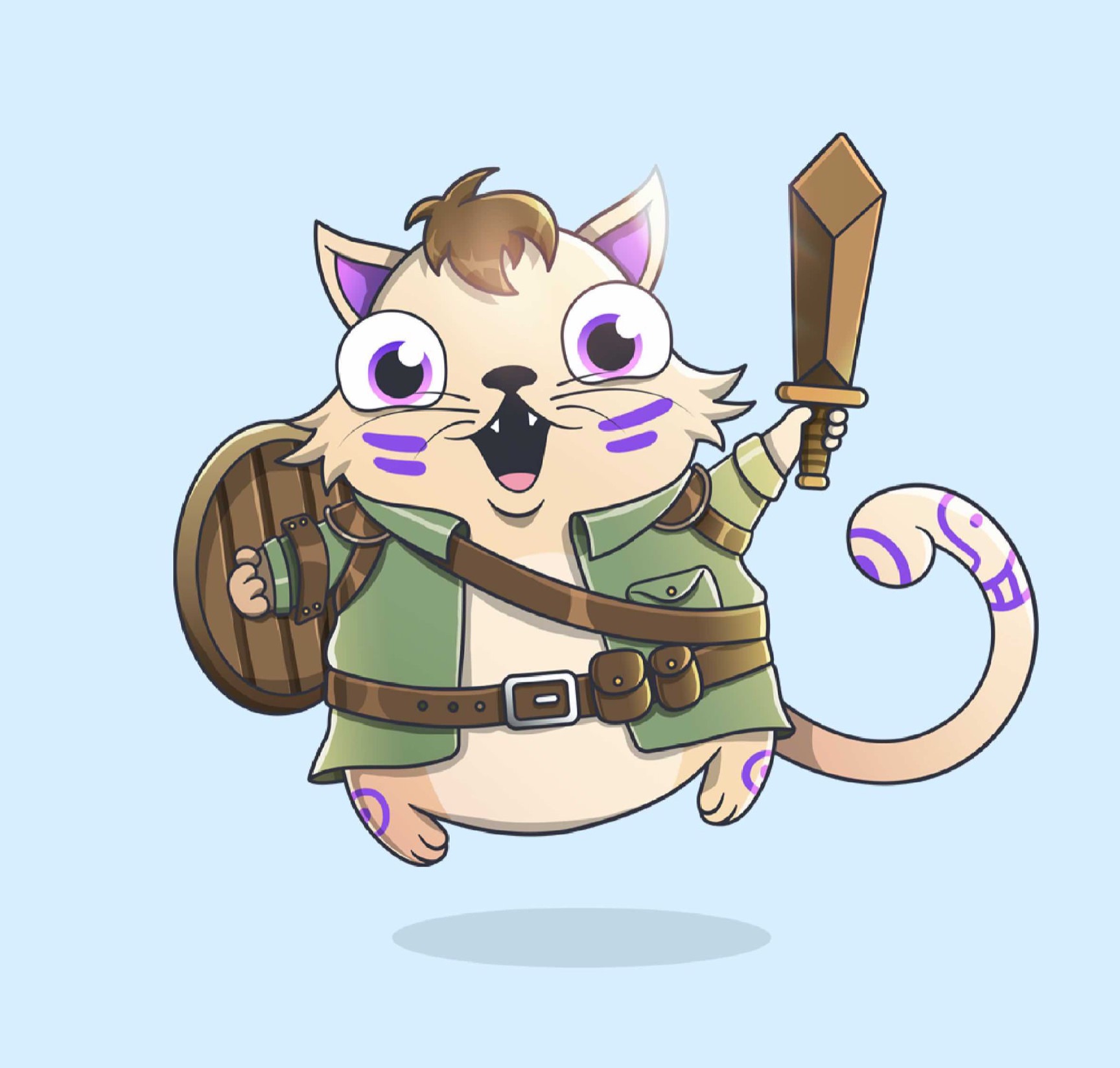 Image of cartoon cat with wooden sword and shield
